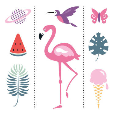 不同的夏天设计元素集图片