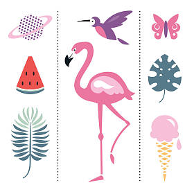 不同的夏天设计元素集图片