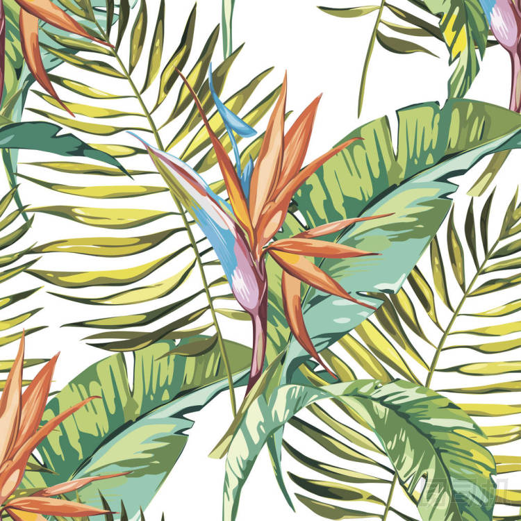 優(yōu)雅的復(fù)古風(fēng)格，鶴望花無縫模式。Eps 10