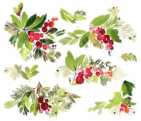 圣诞套。水彩绘画