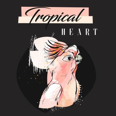 手繪矢量抽象創(chuàng)意熱帶鸚鵡拼貼與寫(xiě)意有機(jī)紋理和熱帶的心現(xiàn)代書(shū)法孤立在黑色的蠟筆顏色