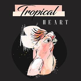 手绘矢量抽象创意热带鹦鹉拼贴与写意有机纹理和热带的心现代书法孤立在黑色的蜡笔颜色