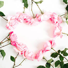 粉红玫瑰般的心图片