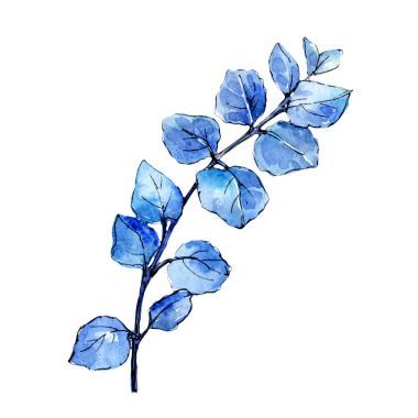 热带夏威夷叶芦荟树在孤立的水彩风