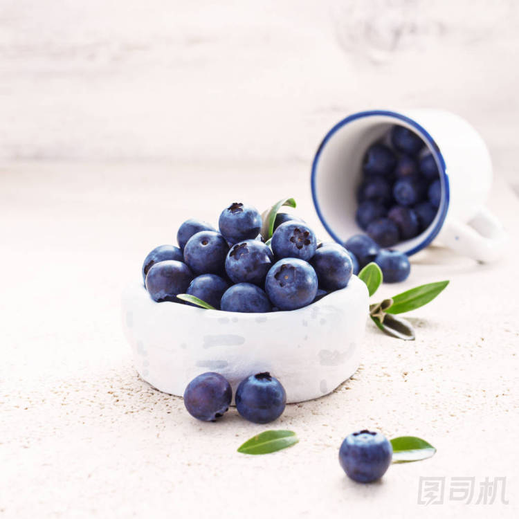 成熟的新鮮藍(lán)莓圖片