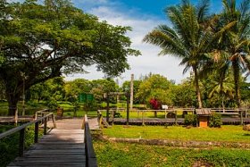 这条路是木头做的古晋到沙捞越文化村。婆罗洲，马来西