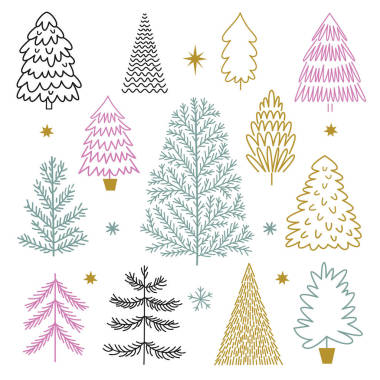 不同的冷杉樹的集圖片