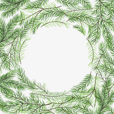 框架的冷杉的樹枝