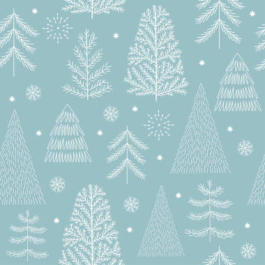 不同的冷杉树的集图片