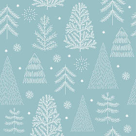 不同的冷杉树的集图片