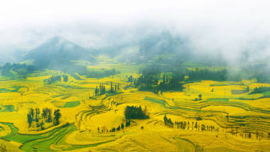 油菜田中，晨雾在罗平油菜花田