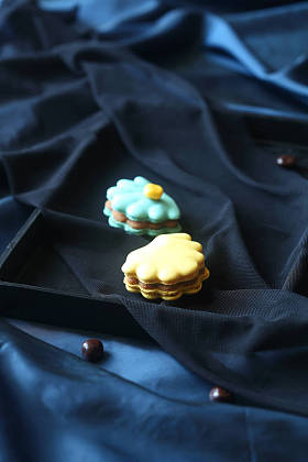 蓝色和黄色贝壳食