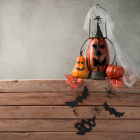 装饰杰克 o 灯笼照片