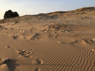 在沙灘上的垃圾