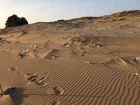 在沙滩上的垃圾