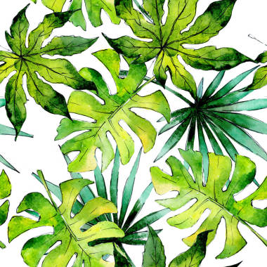 熱帶夏威夷葉植物模式以水彩風