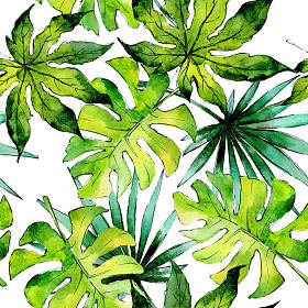 热带夏威夷叶植物模式以水彩风