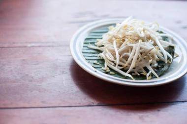 綠豆或豆芽在白板上