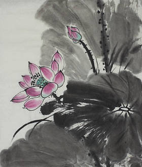 明亮的莲花