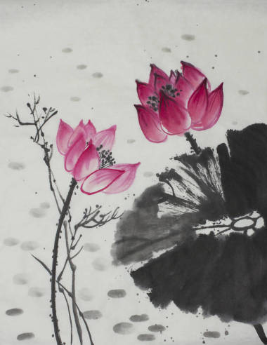 明亮的蓮花