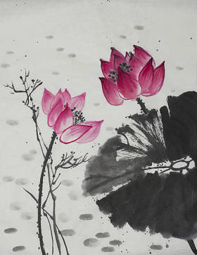 明亮的莲花