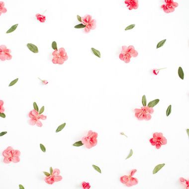 花卉圖文框與文本的空間