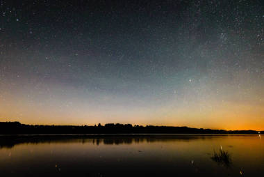 美丽的银河系，夜晚的天空上的树的剪影
