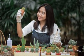 在花盆里种植的小仙人球的肖像年轻亚洲女孩