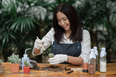 在花盆里种植的小仙人球的肖像年轻亚洲女孩