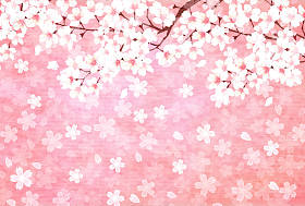 樱花新年卡背景春天背景