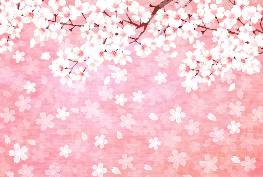 樱花新年卡背景春天背景