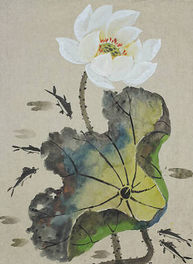 莲花和鱼照片