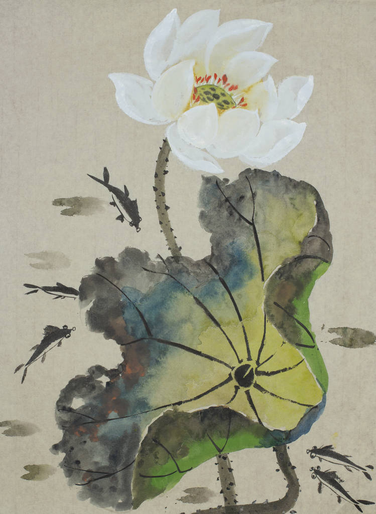 莲花和鱼照片