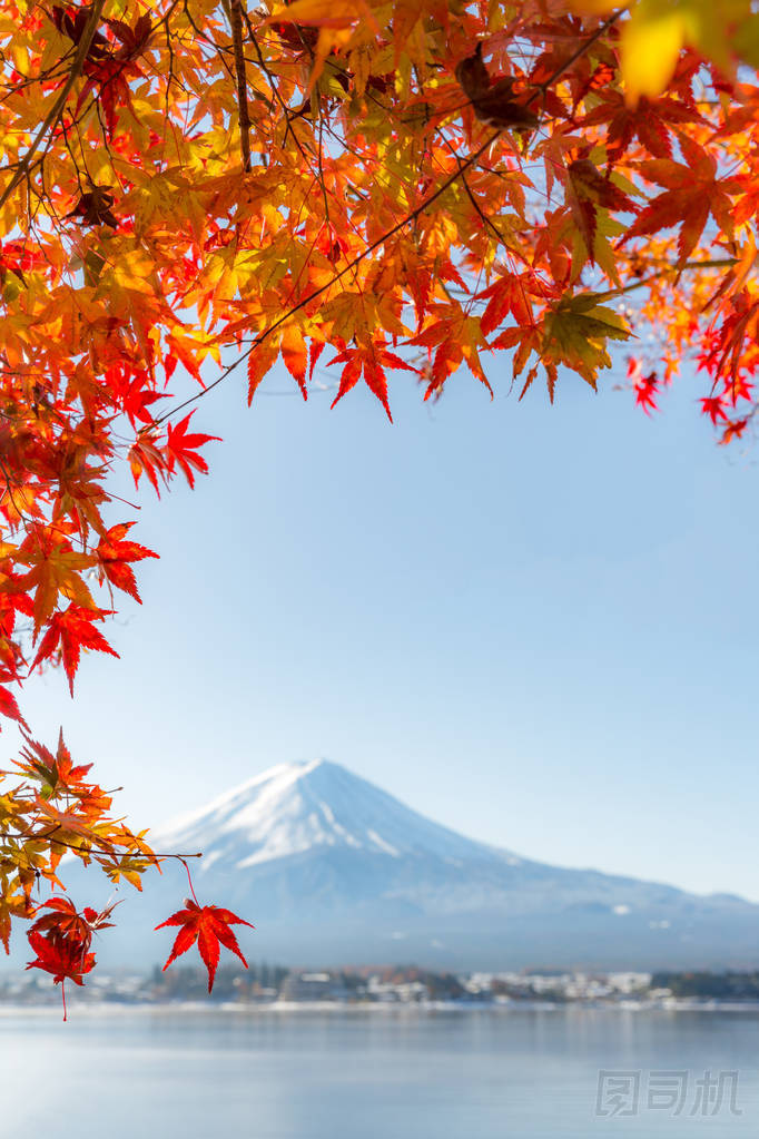 山富士在秋天圖片