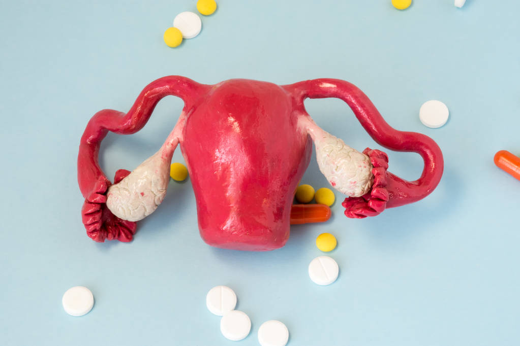 照片的子宫、 卵巢、 宫颈、 其他障碍的女性生殖系统疾病的药物治疗的想法。子宫在蓝色的背景下,药品被包围的模型 照片的子宫、 卵巢、 宫颈、 其他障碍的女性生殖系统疾病的药物治疗的想法。子宫在蓝色的背景下,药品被包围的模型