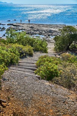 木制樓梯間灌木叢