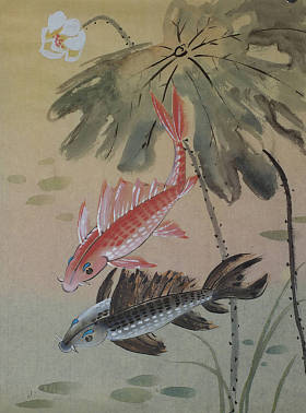 鲤鱼和莲花图片
