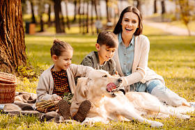 儿童和母亲抚摸狗在公园里图片