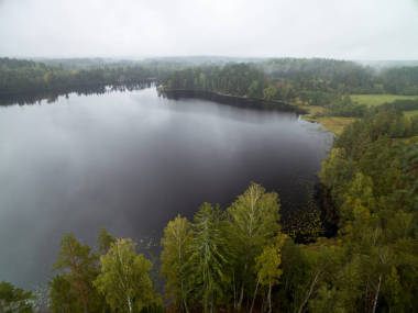 树木繁茂的景观照片