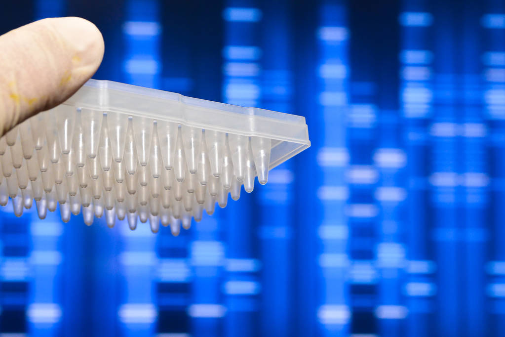 Dna 测试，在实验室.图片