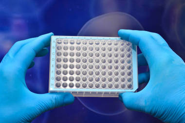 在生物技术研究中对细胞技术的使用