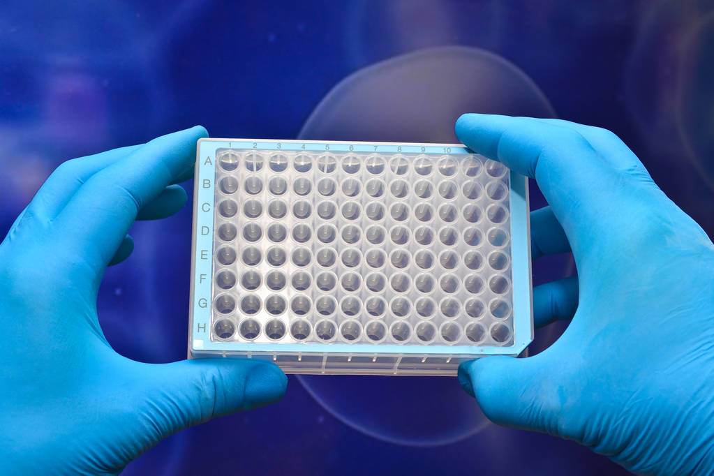 在生物技术研究中对细胞技术的使用 在生物技术研究中对细胞技术的使用