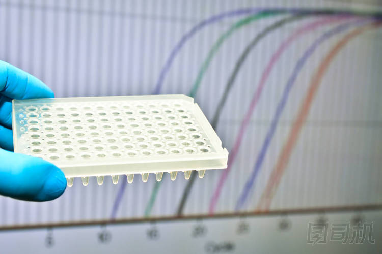Dna 檢測實(shí)時(shí) Pcr 法