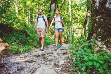 夫婦與小黃狗圖片