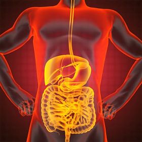 人类内脏射线照相图片