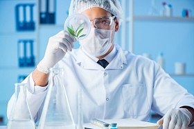女科学家研究人员进行的实验室试