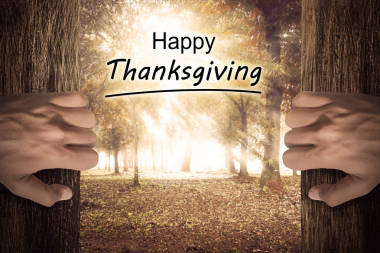 感恩節(jié)快樂概念