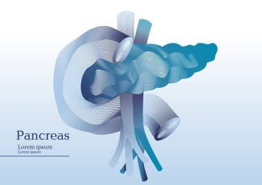 胰腺的抽象插圖圖片