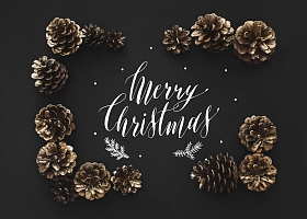 框架的松果 图片