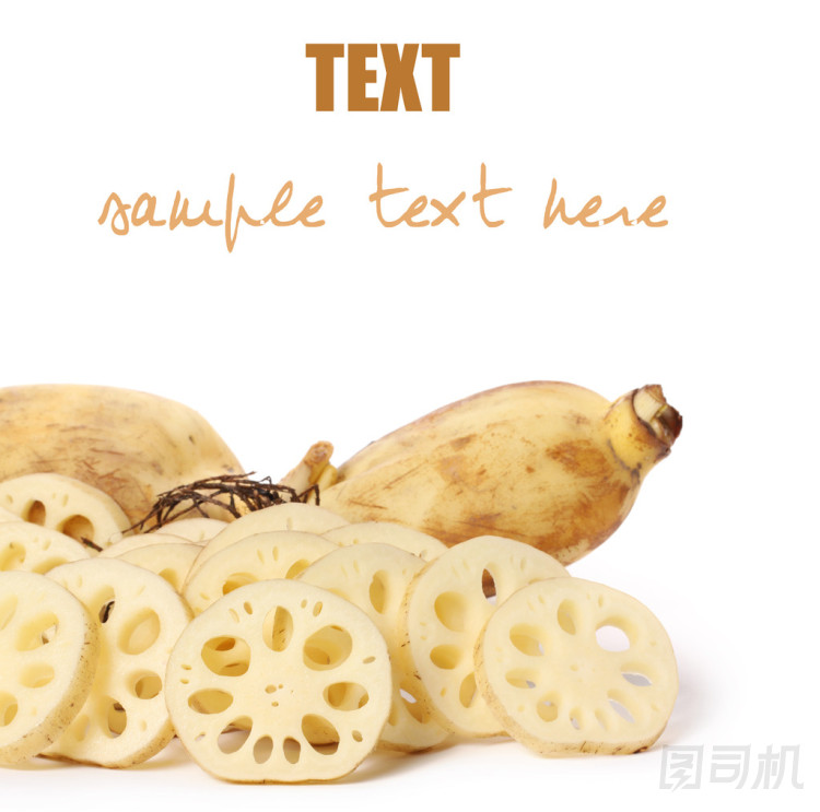 蓮藕圖片